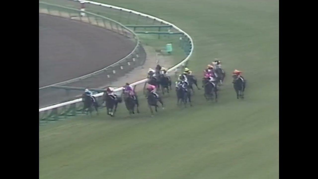 ニシノフラワー 1992年 第26回スプリンターズステークス(GI)  (優勝馬：ニシノフラワー) (実況：ラジオたんぱ)