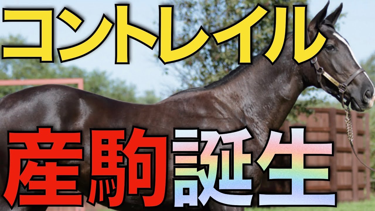 【最有力後継】コントレイルの初年度産駒がついに誕生！改めて考察する。