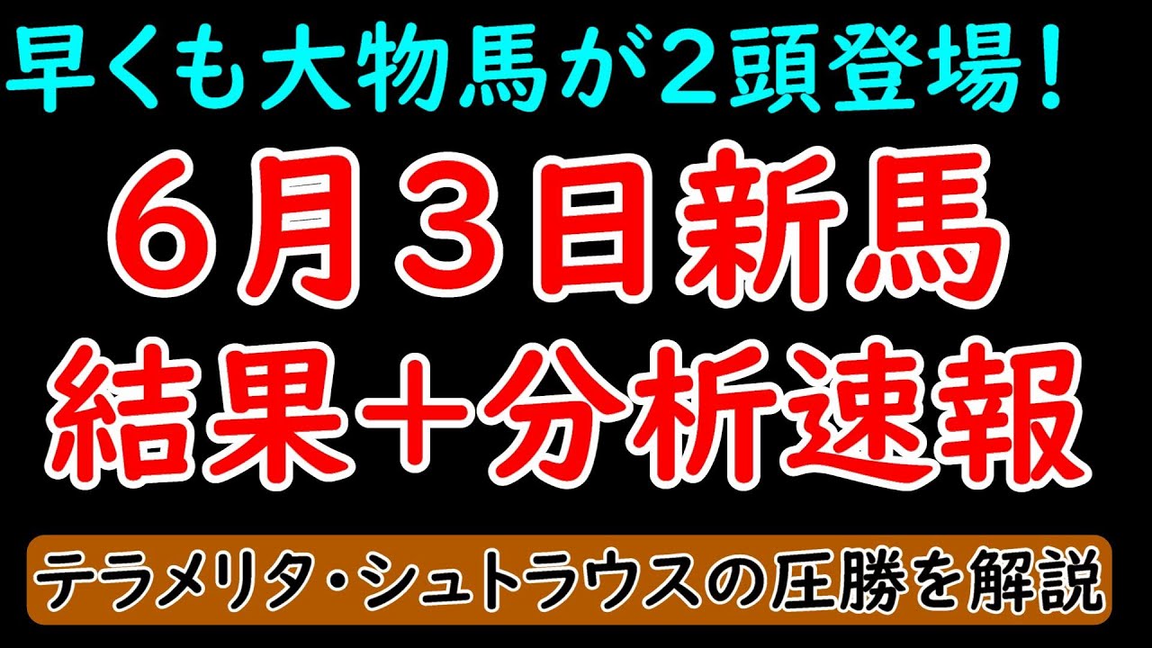 6月3・4日新馬戦結果+分析速報！シュトラウス・テラメリタ圧勝！ブリックスアンドモルタル産駒初勝利！【POG23-24】