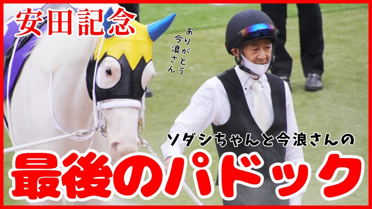 ソダシと今浪厩務員が一緒に歩く最後のパドック【安田記念2023】
