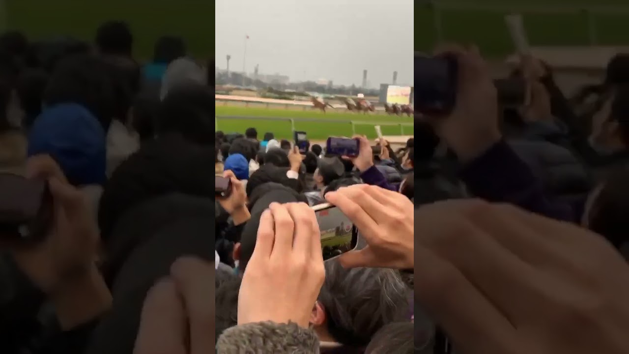 有馬記念2019#short#競馬#有馬記念#有馬記念2019#リスグラシュー#サートゥルナーリア#ワールドプレミア#アーモンドアイ#ダニアンレーン#武豊#中山競馬場