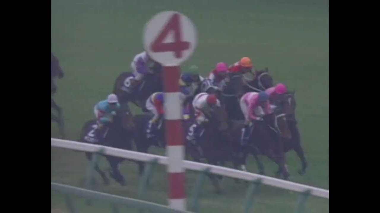 ニシノフラワー 1992年 第26回スプリンターズステークス(GI)  (優勝馬：ニシノフラワー)