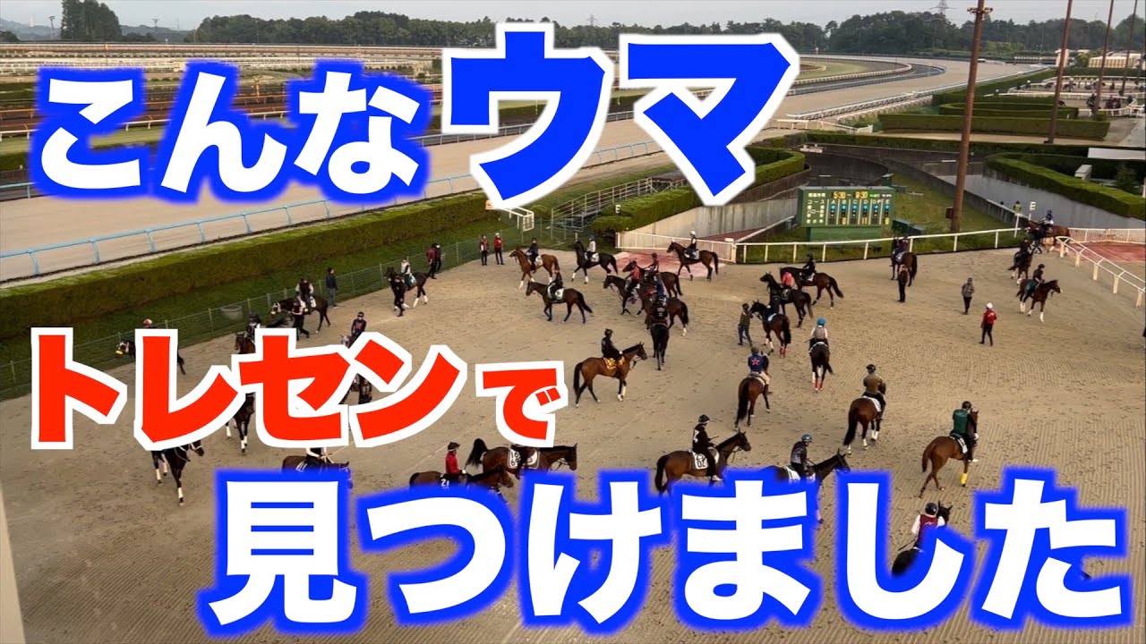 【あの世界トップ馬も】こんなウマ、栗東トレセンで見かけました《東スポ競馬》