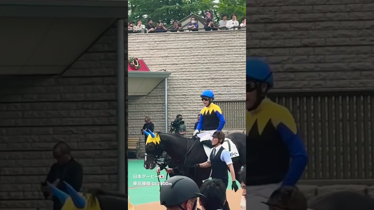 【日本ダービー】スキルヴィング 最後の勇姿 東京優駿 全頭パドック東京競馬場　#shorts #日本ダービー #パドック