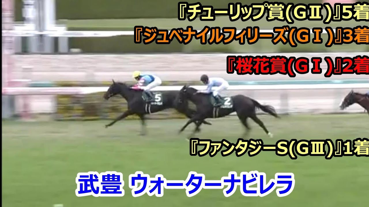 武豊/ウォーターナビレラ