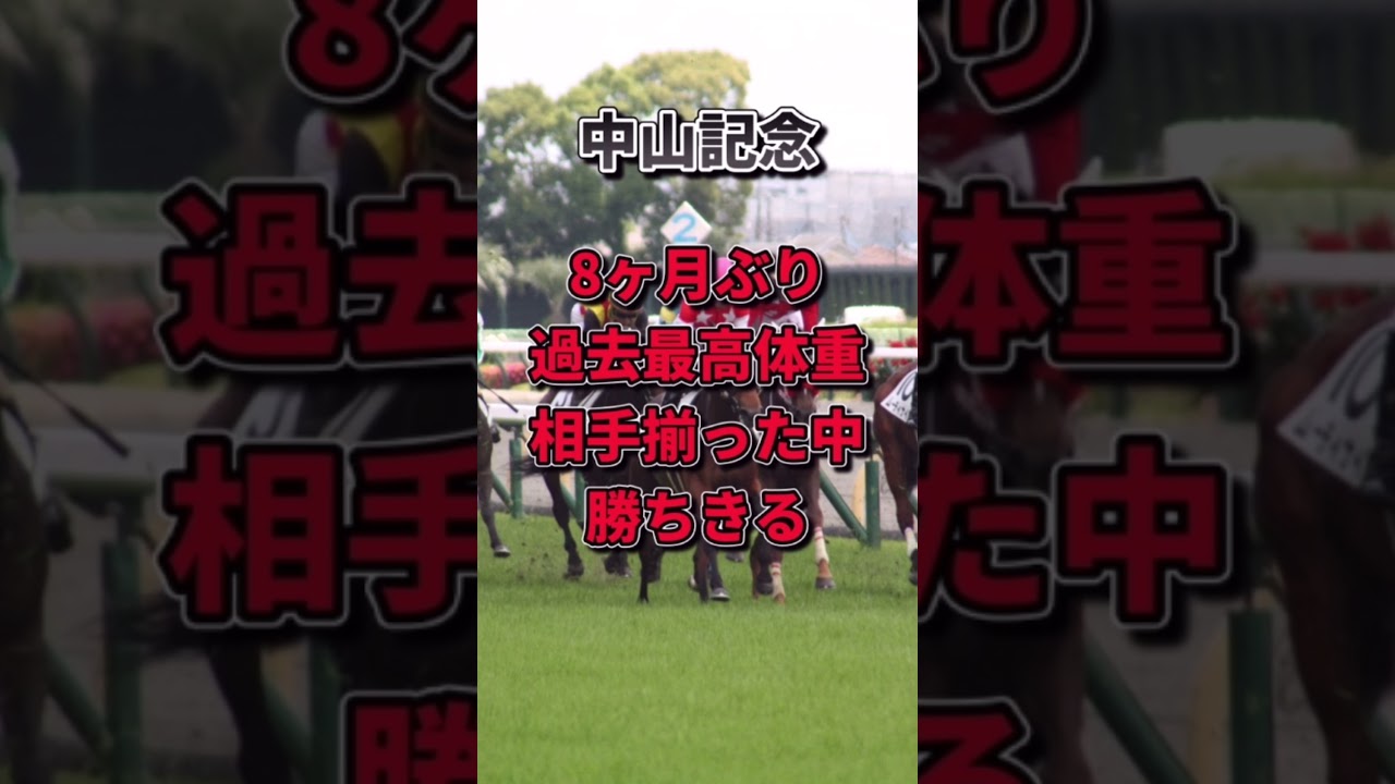 【大阪杯2023】30秒でわかるヒシイグアス