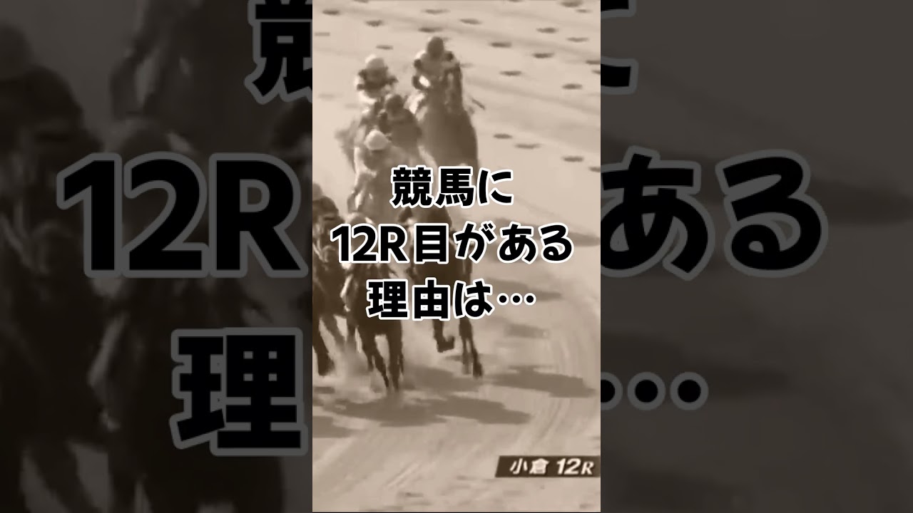 競馬の豆知識　12レース目っているの？　#shorts #競馬  #豆知識