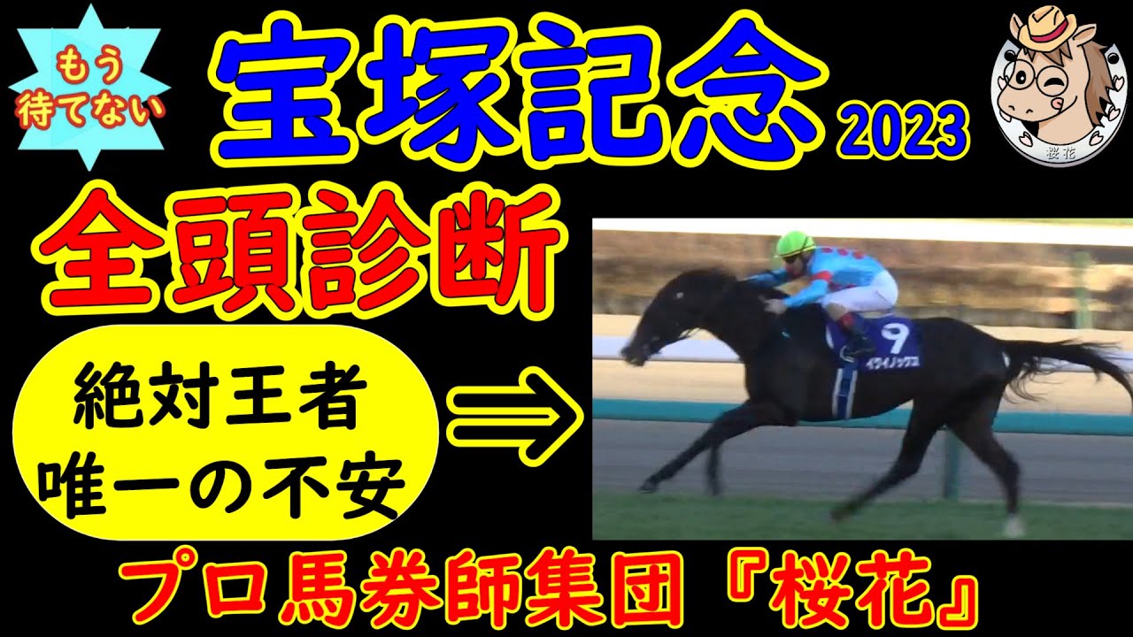 もう待てない！宝塚記念2023二週前レース予想全頭診断！王者イクイノックスが初の阪神への参戦！栗東滞在で万全の態勢に見えるが不安点もある？