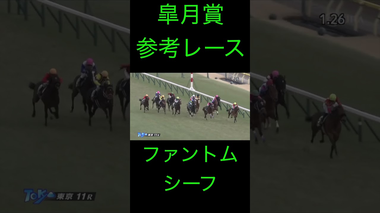 （切り抜き）参考レース 皐月賞 出走メンバー ファントムシーフ　#shorts   #競馬 　＃前走 ＃参考レース　＃皐月賞　＃ファントムシーフ