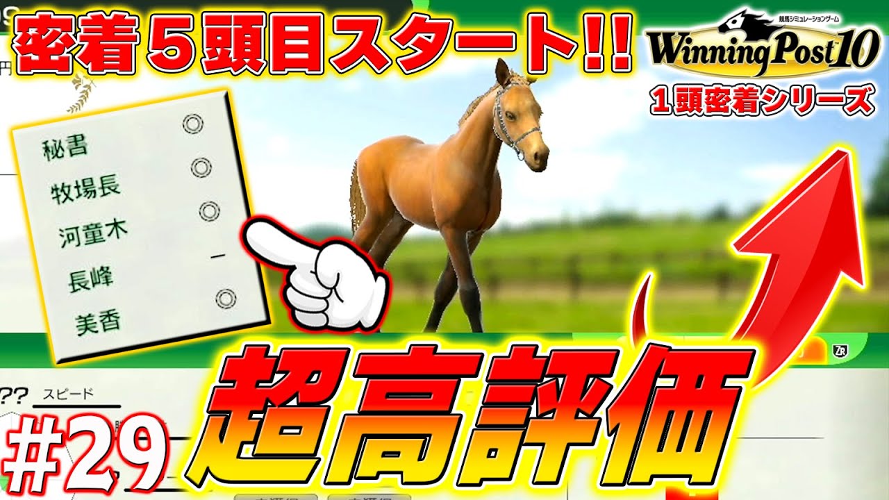 【密着５頭目】ヤベェ奴が誕生しました【ウイニングポスト10】#29