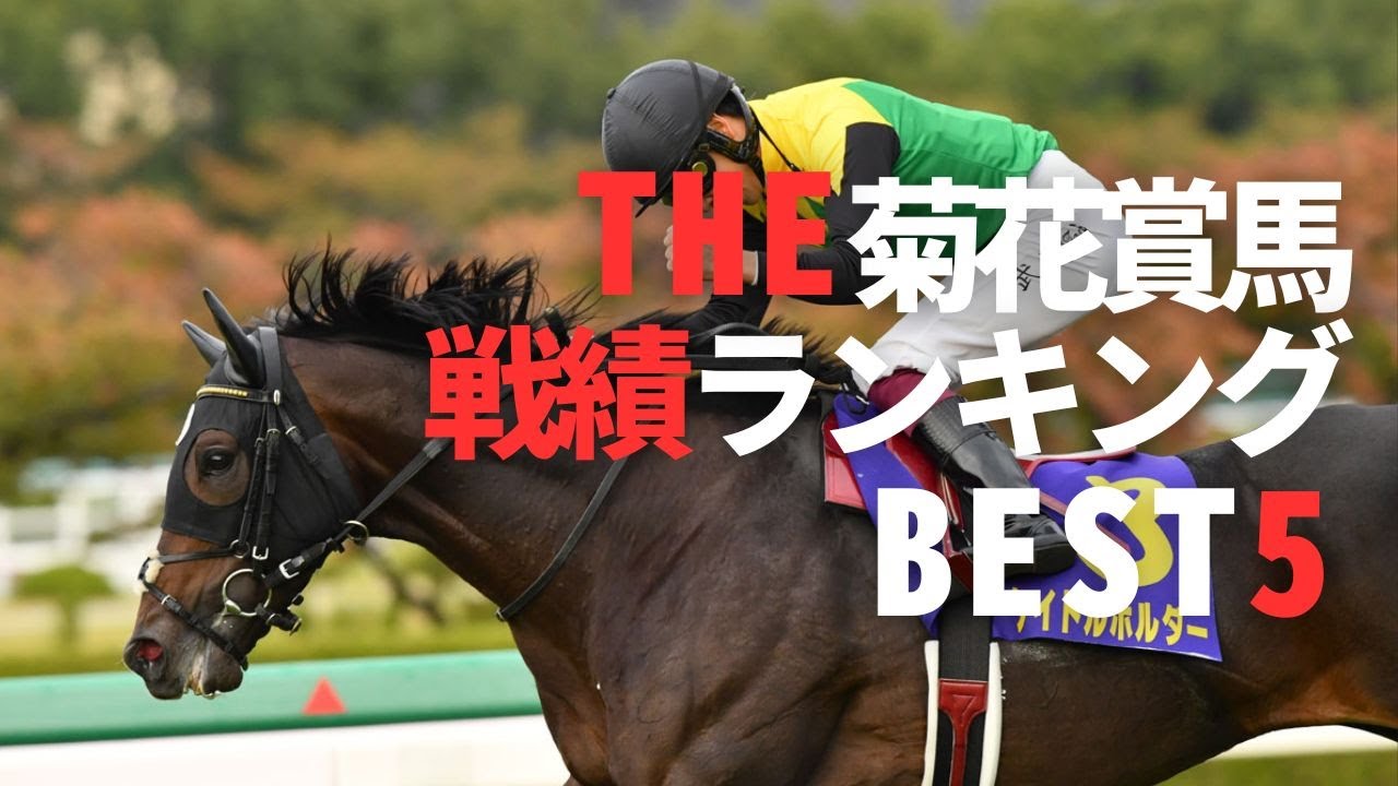 THE菊花賞 戦績ランキングBEST10