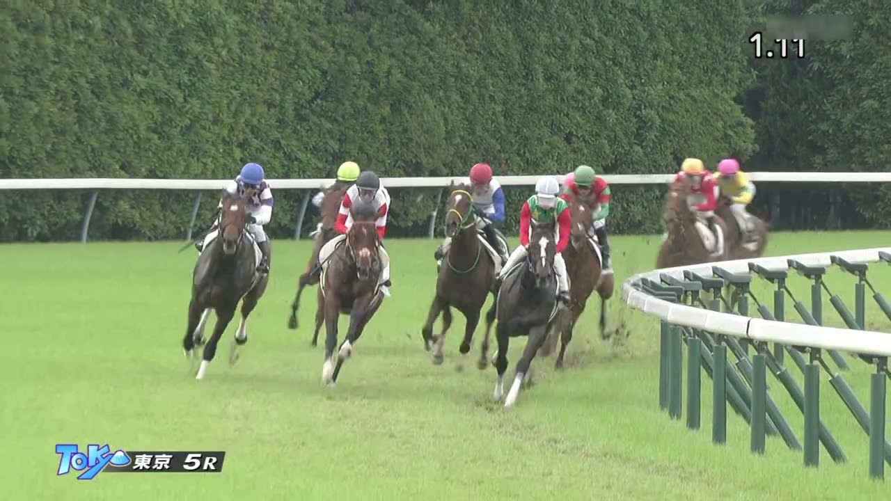 2023 06 11 東京5R 2歳新馬 ダノンエアズロック(D.レーン)