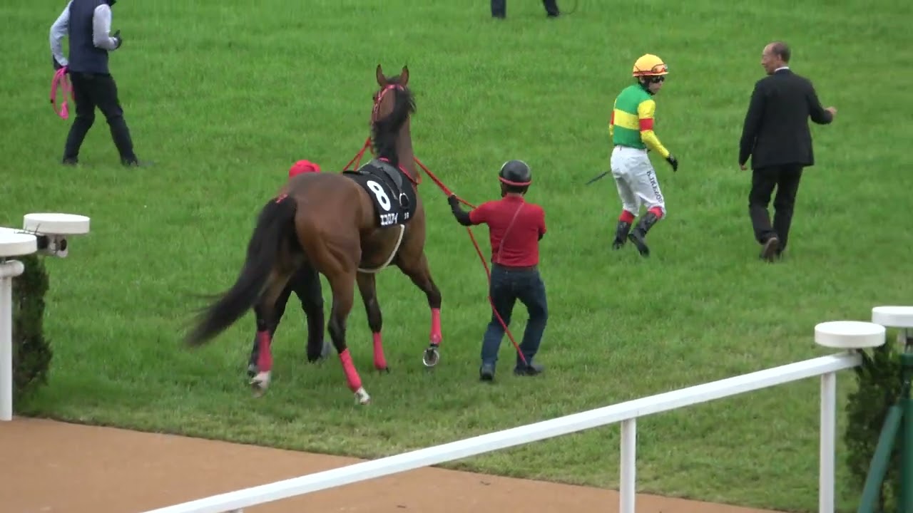 2023端午ステークス 武豊が勝利に導く!! 現地映像 スマートフォルス