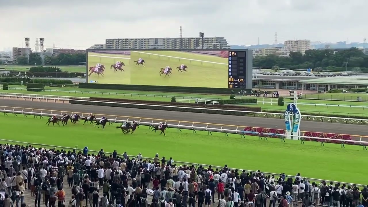 【現地映像】ダノンエアズロック