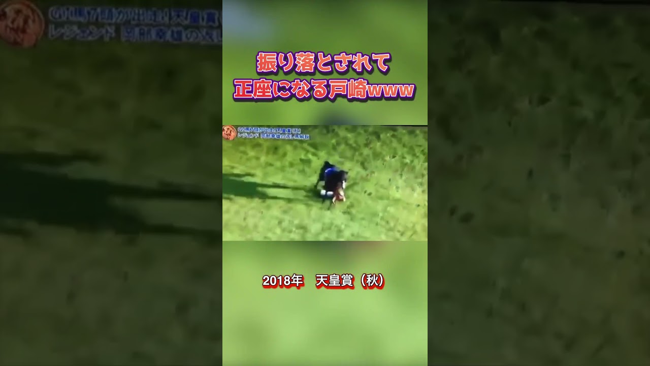 返し馬で振り落とされ正座になる戸崎 #shorts #競馬 #天皇賞秋