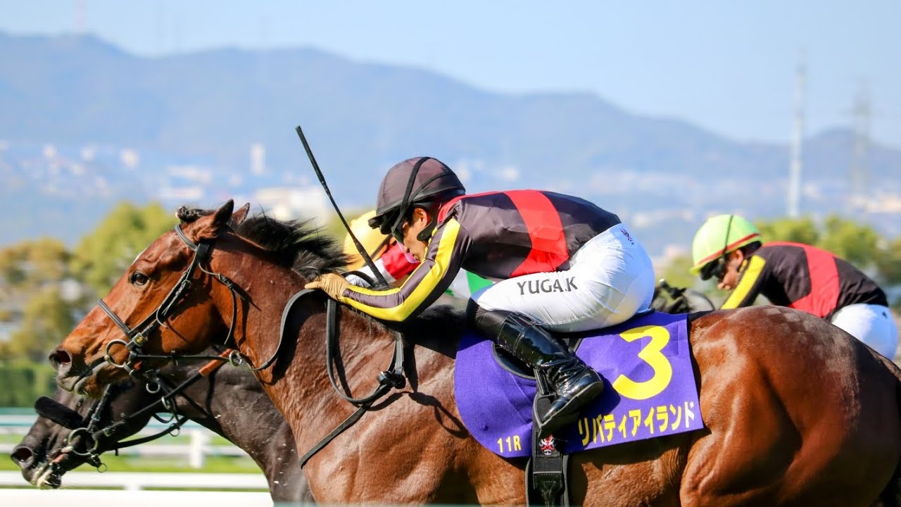 【現地】桜花賞 リバティアイランド ターフビジョン前 最前列