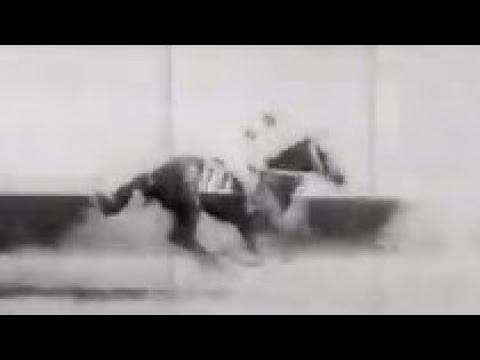 第２０回　東京優駿（日本ダービー）　ボストニアン　牡３　57　蛯名武五郎　1953.5.24　　出走馬：ダイサンホウシユウ、ハクリヨウ、チエリオ 、フソウ、トキツ、ミナトタイム、ミネノスガタ他