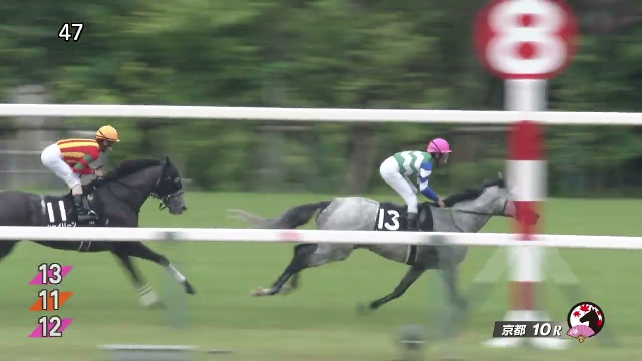 2023 05 14 京都10R 錦ステークス シェイリーン(北村友一)