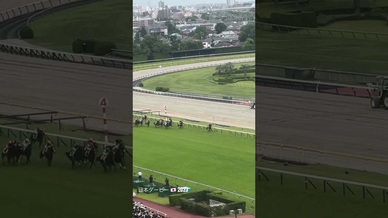 【日本ダービー】スタートの波乱から最後の直線🐎 #shorts #日本ダービー #東京競馬場