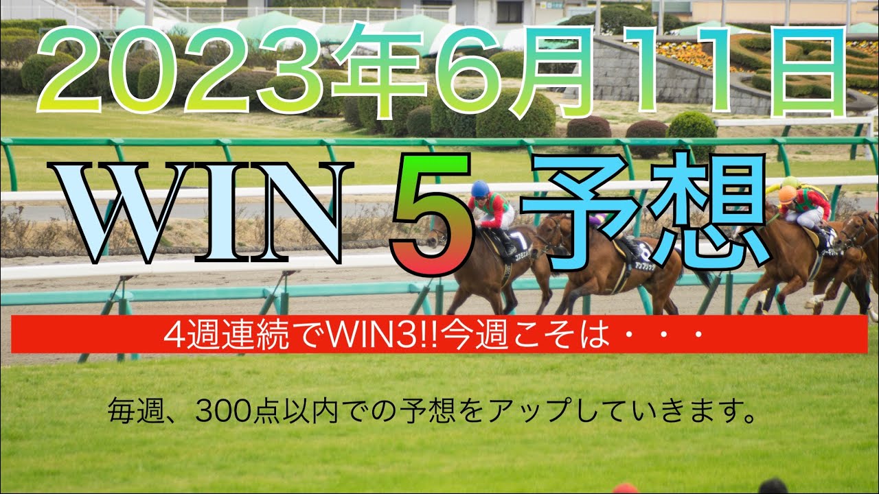 【WIN5 予想 2023年6月11日】安芸S 夏至S 函館SS 三宮S エプソムC