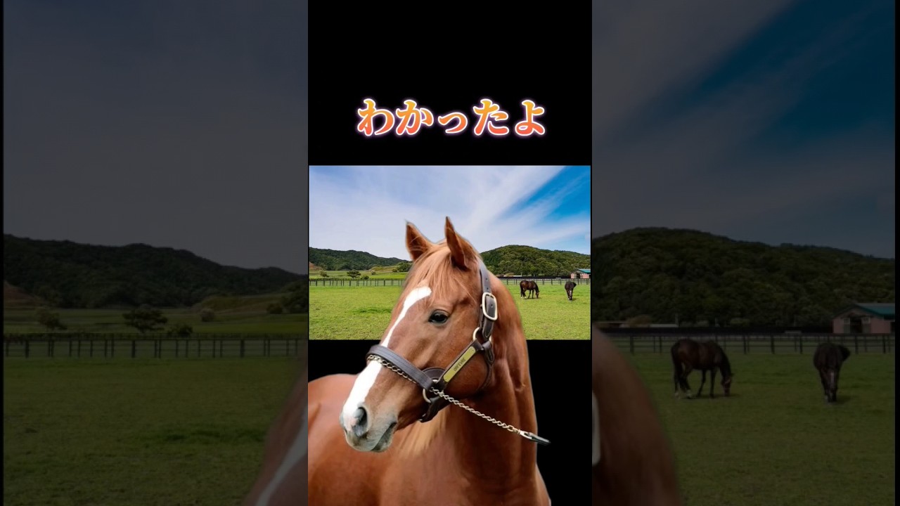 オルフェーヴル ～天に届けるラストラン【Voiceless Ver.】 #競馬 #有馬記念 #池添謙一