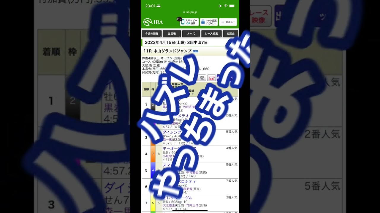 🏇G1 中山グランドジャンプの競馬予想 ◆93R目 #中山グランドジャンプ #競馬 #shorts