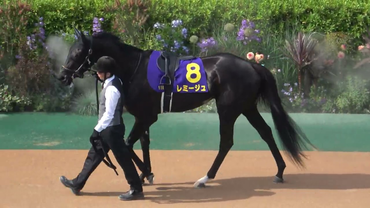 【オークス2023】第84回優駿牝馬GⅠ 全頭パドック 現地映像 リバティアイランド