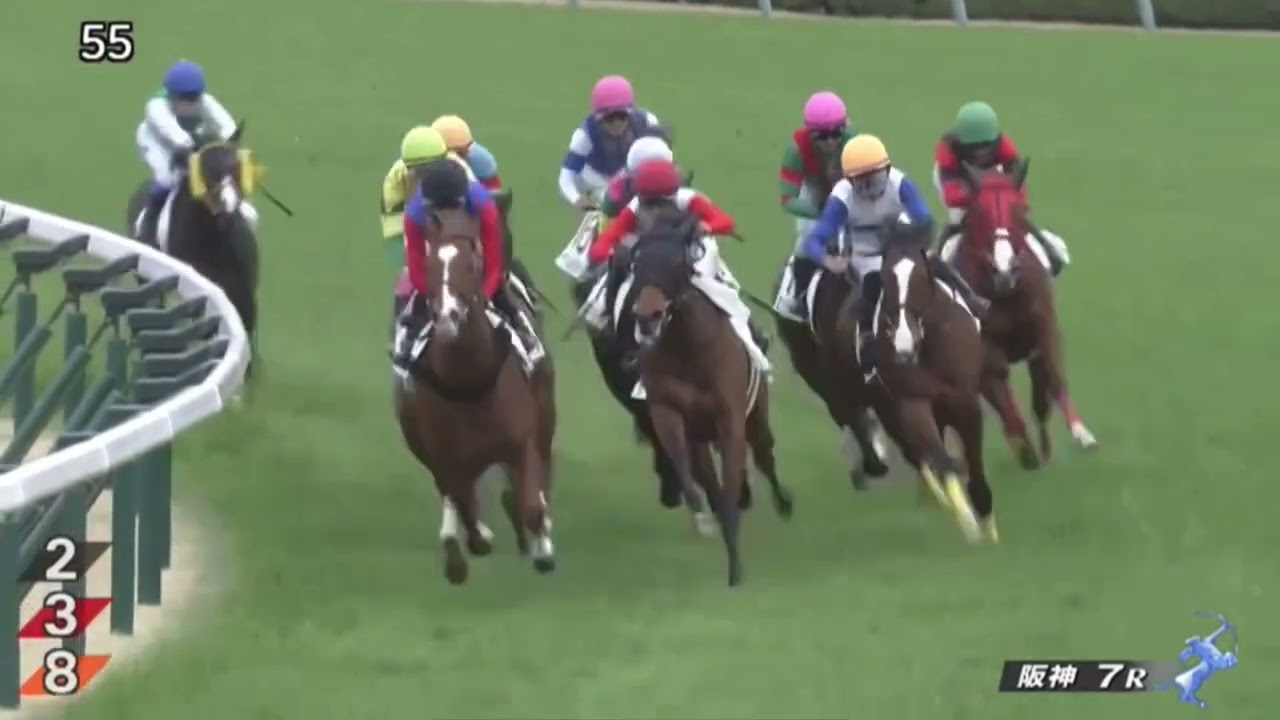 2023年3月25日（土）阪神7R 3歳1勝クラスレース映像【タガノシャーンス】