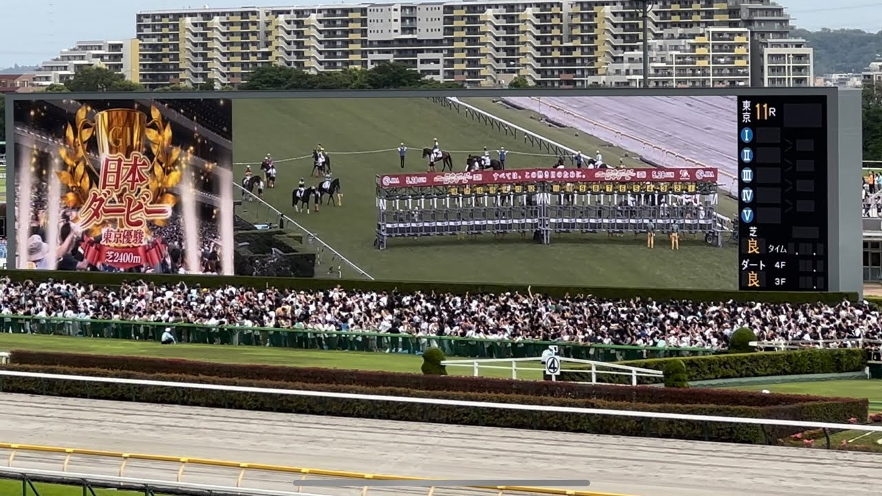 日本ダービー/東京優駿(東京競馬場)ファンファーレ 2023/05/28