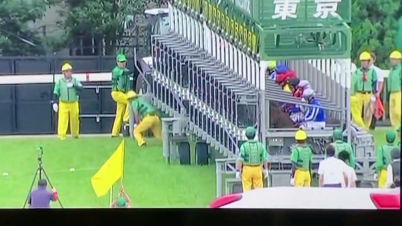 2023年　安田記念　ソングライン　豪華G1馬10頭　レース映像　レースビデオ　ラジオ日本音声#安田記念#大激戦#安田記念連覇#キズナ産駒#名牝
