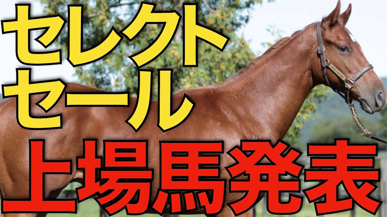 【幕開け】コントレイル産駒もついに登場！世界が注目のセレクトセール。