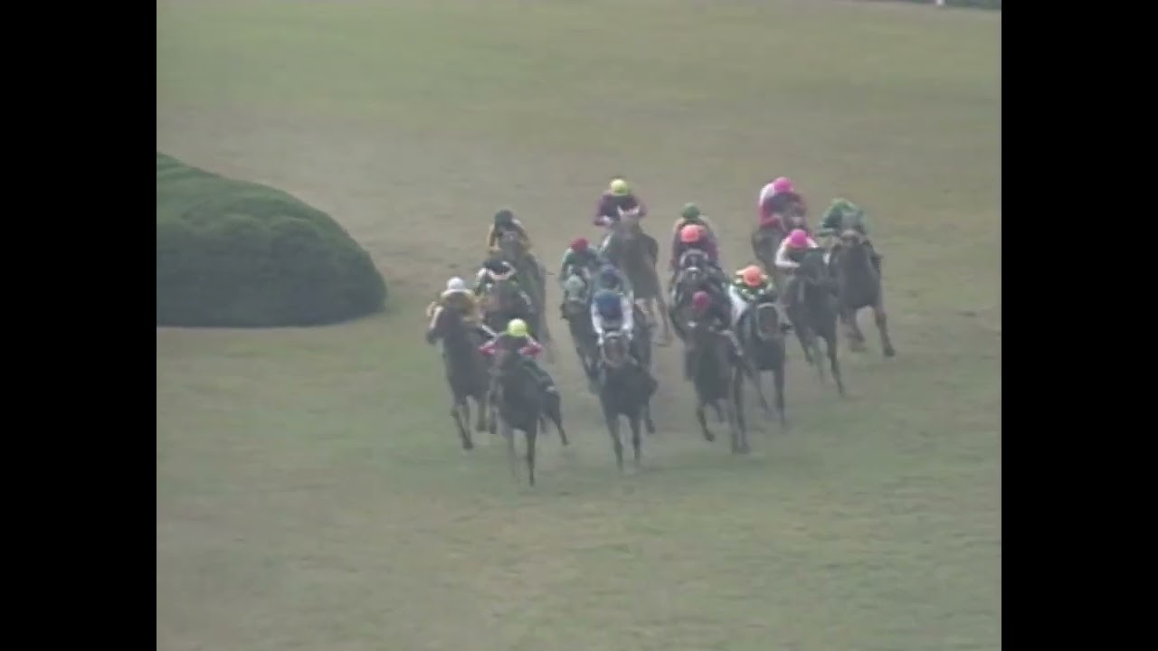 ニシノフラワー 1993年 第10回マイルチャンピオンシップ(GI)  (優勝馬：シンコウラブリィ)
