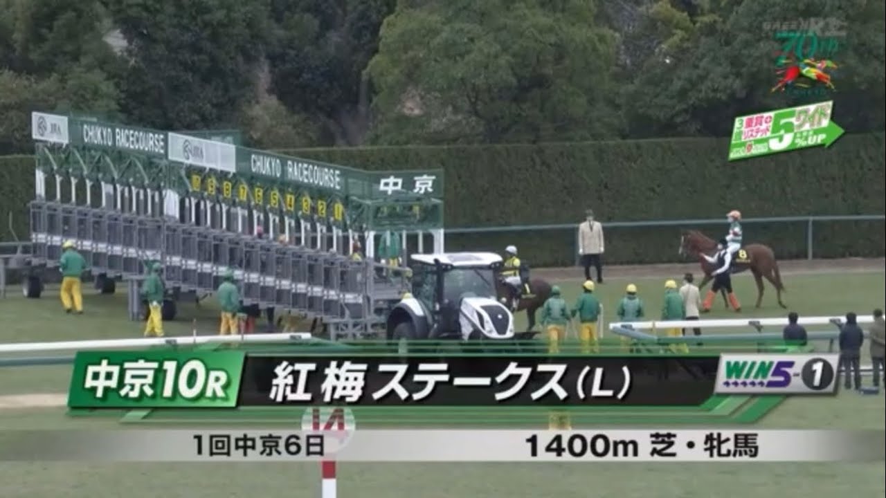 紅梅ステークス(L)