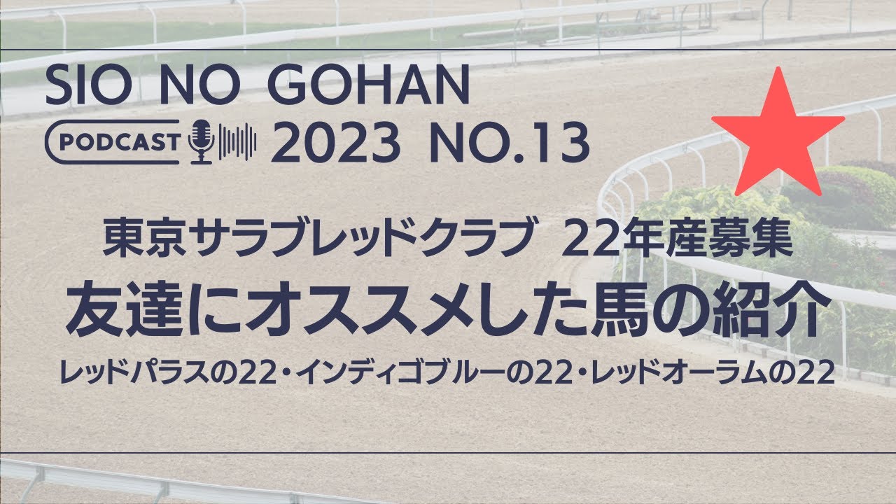 【一口馬主】東京サラブレッドクラブ 2022年産募集馬の分析 レッドパラスの22 インディゴブルーの22 レッドオーラムの22【ゆっくり動画】