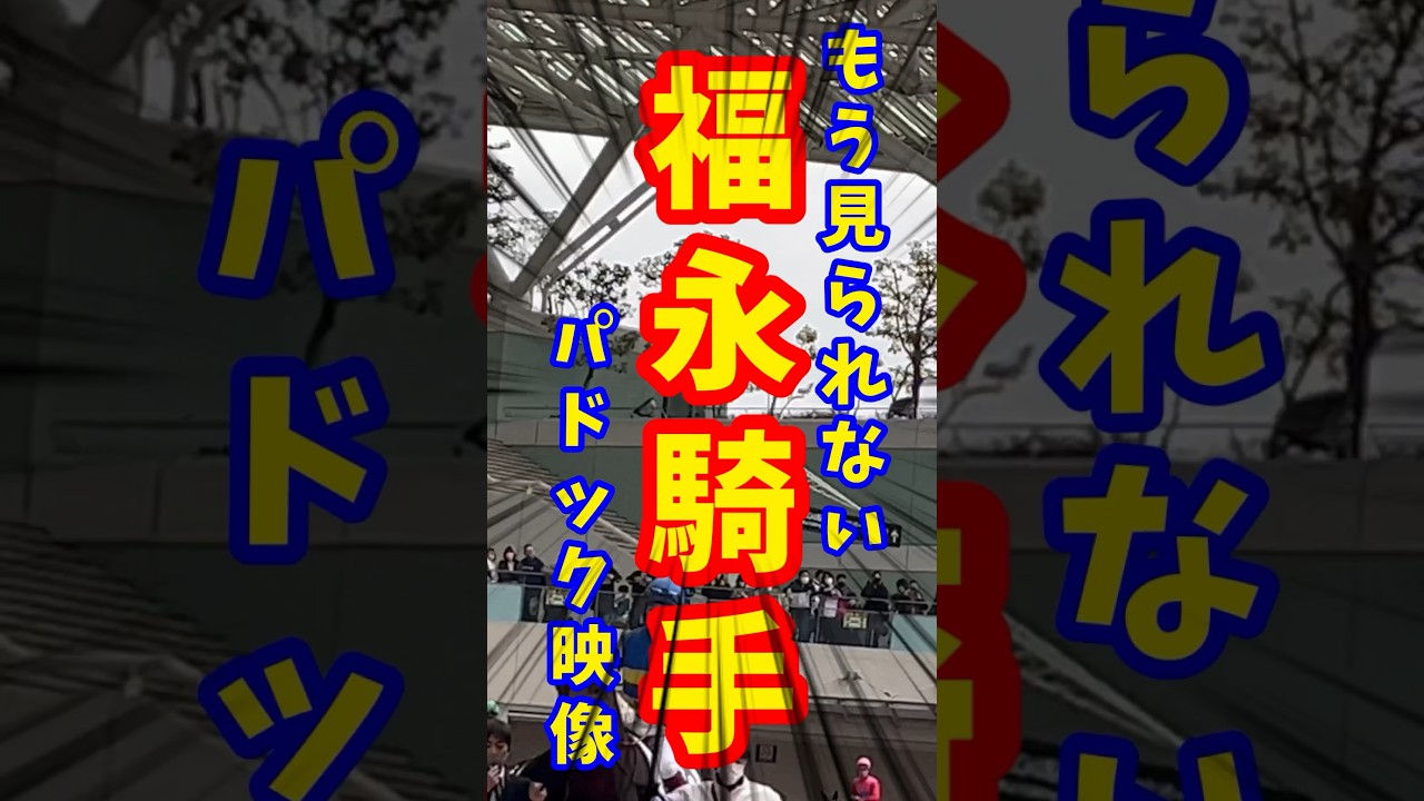 貴重映像／阪神競馬場パドック【福永祐一】【阪神競馬場】