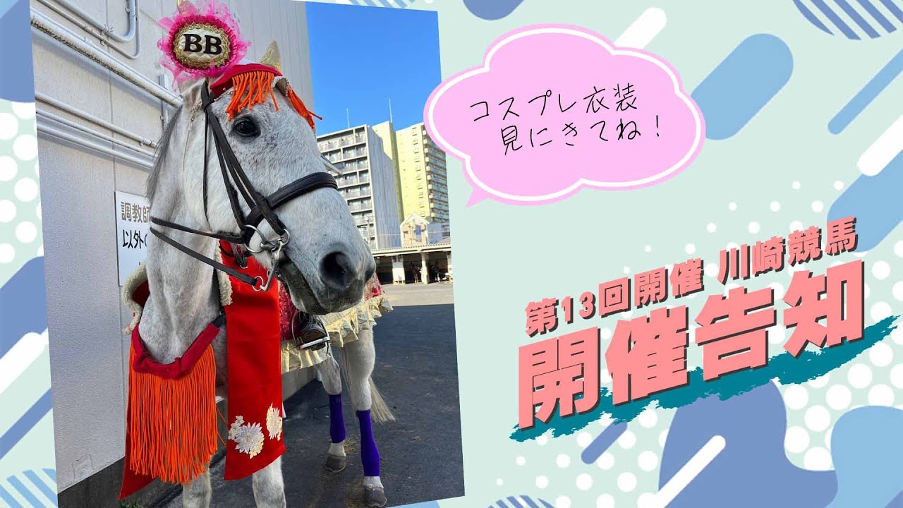 川崎競馬第13回開催告知　│　誘導馬紹介