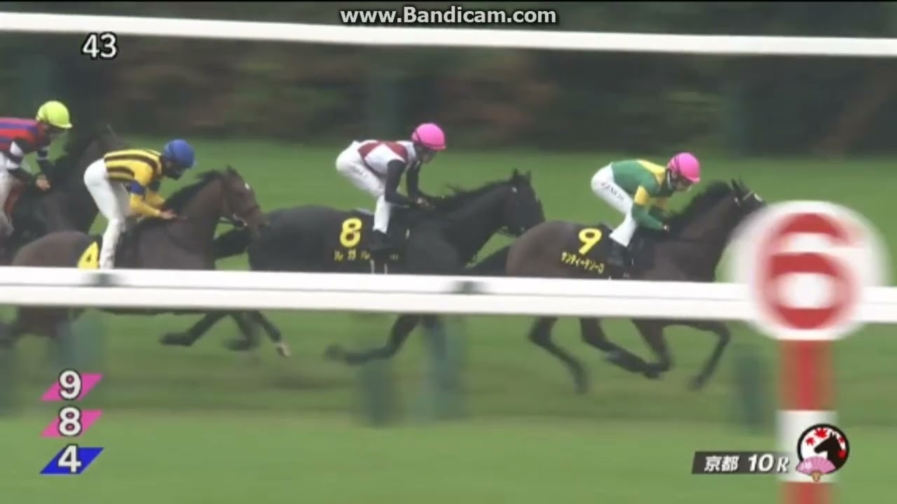 2023年5月7日　京都10R　橘ステークス (L)　ルガル