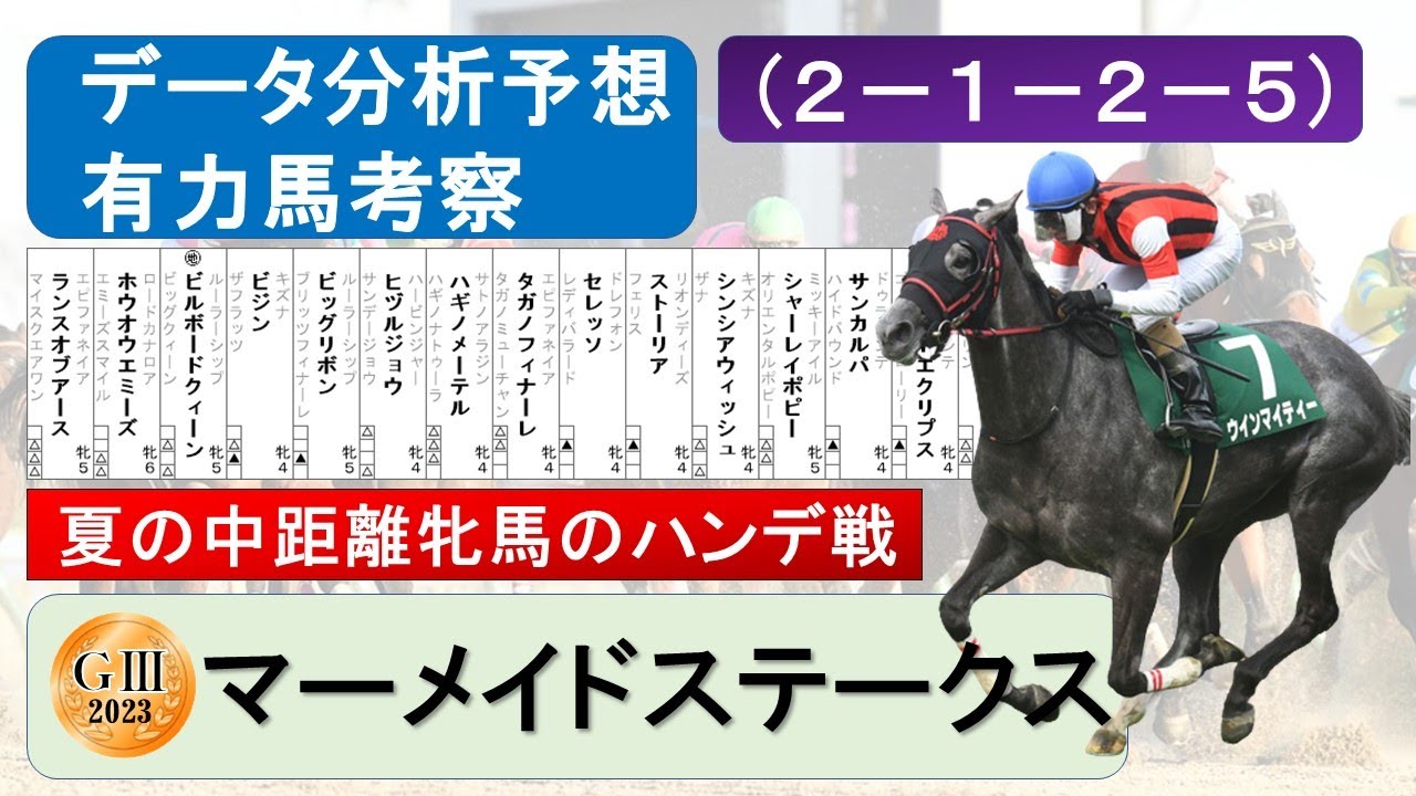 【マーメイドステークス2023】データ分析予想、データ消去法、有力馬考察、（２－１－２－５）データ分析該当馬、夏の中距離牝馬のハンデ戦