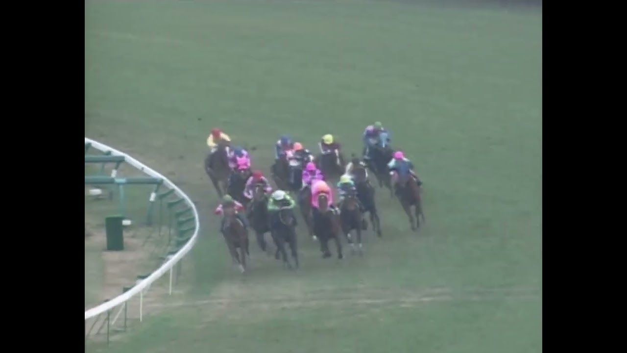 ニシノフラワー 1993年 第27回スプリンターズステークス(GI) (優勝馬：サクラバクシンオー)