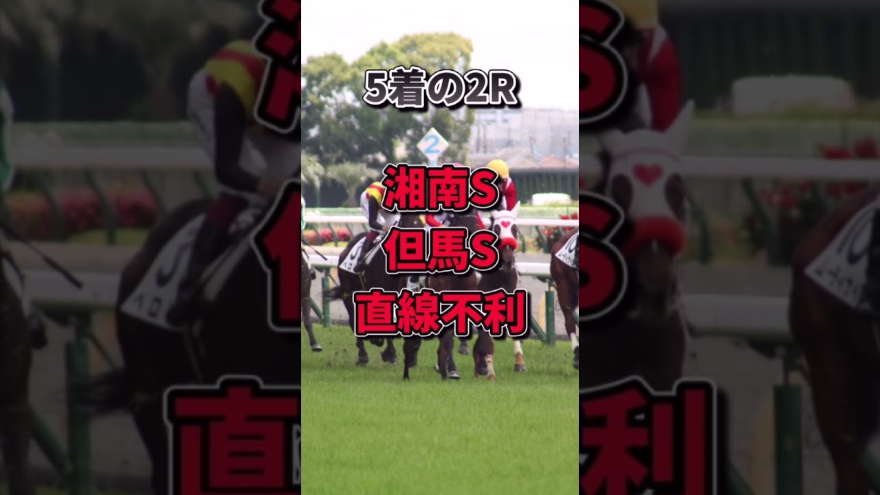 【大阪杯2023】30秒でわかるノースザワールド