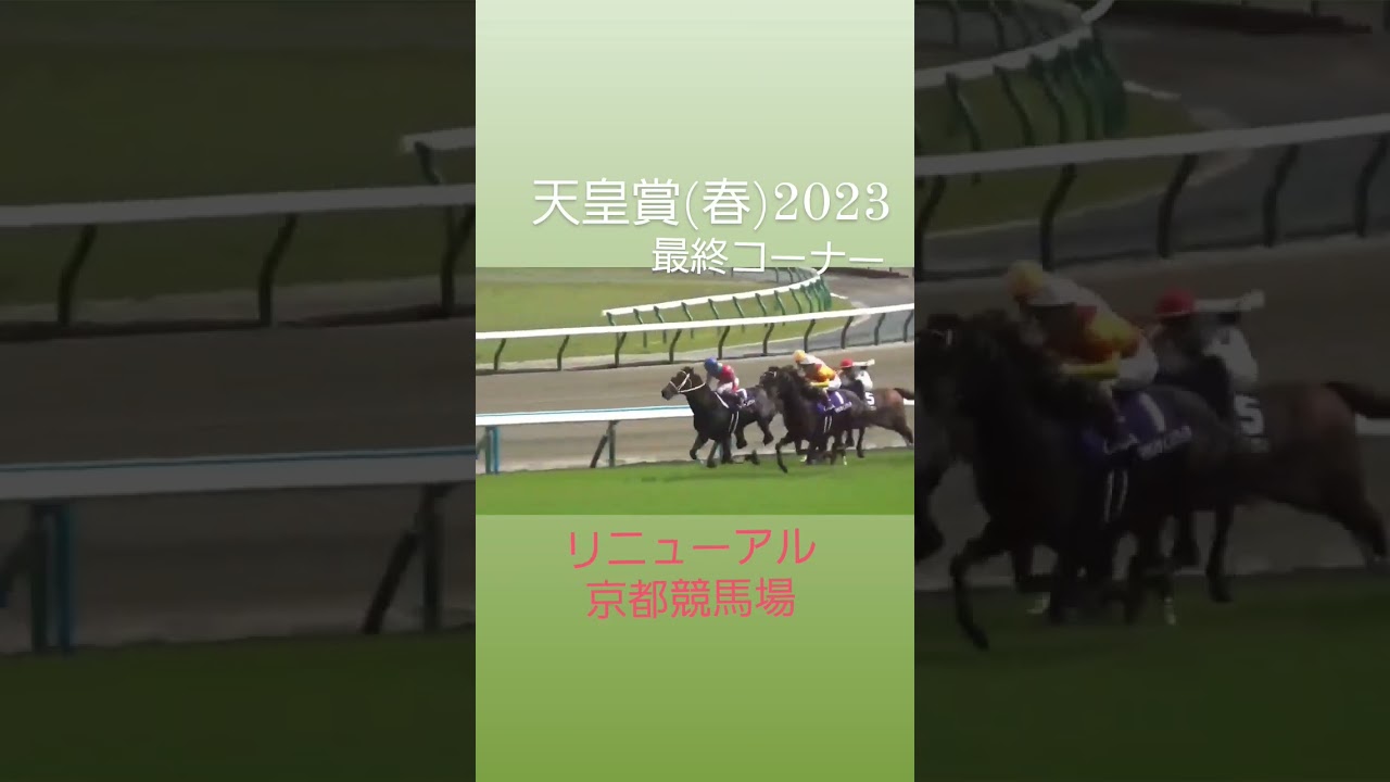 天皇賞(春)2023　リニューアル京都　こけら落とし　最終コーナー