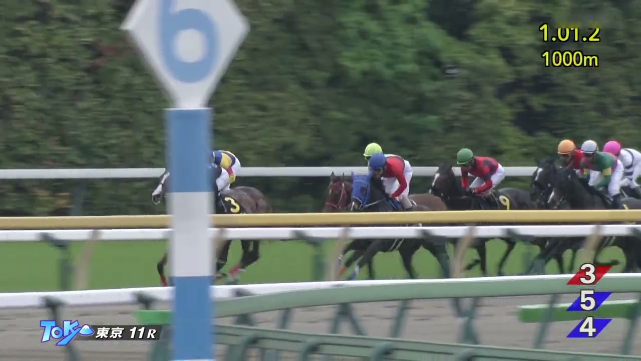 2023 04 30 東京11R スイートピーステークス(L) ウヴァロヴァイト(菅原明良)