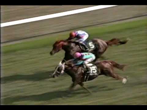 第43回 京都4歳特別 G3 （1997/5/4・京都） シルクジャスティス