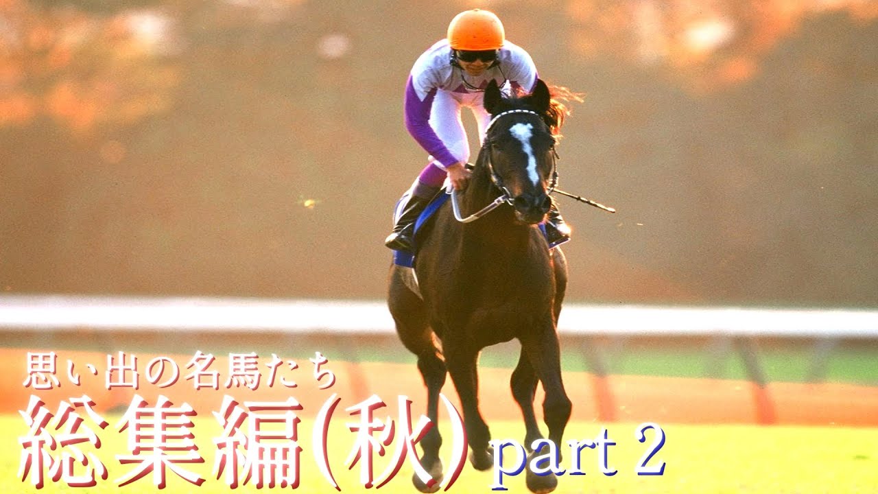 思い出の名馬たち『総集編(秋)』part２