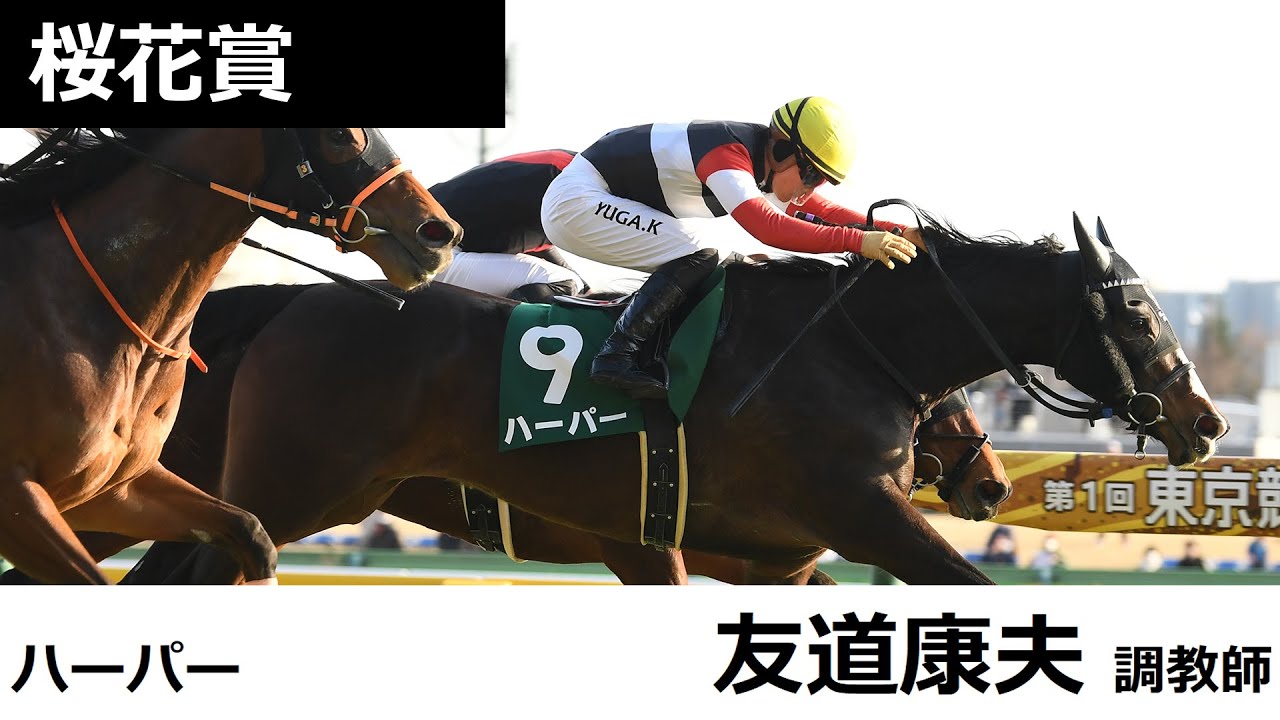 桜花賞共同会見 ハーパー・友道康夫調教師（2023年4月5日）