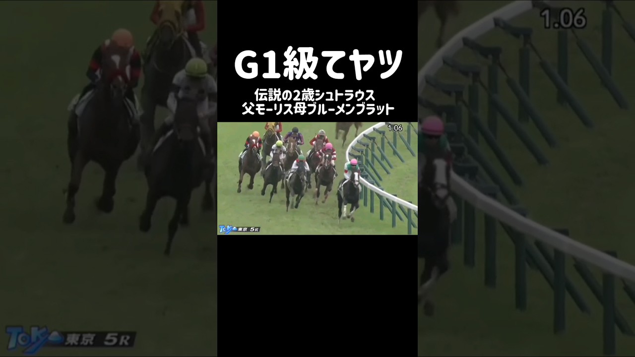 2歳王者シュトラウス 超良血馬が9馬身圧勝 朝日杯FSへ