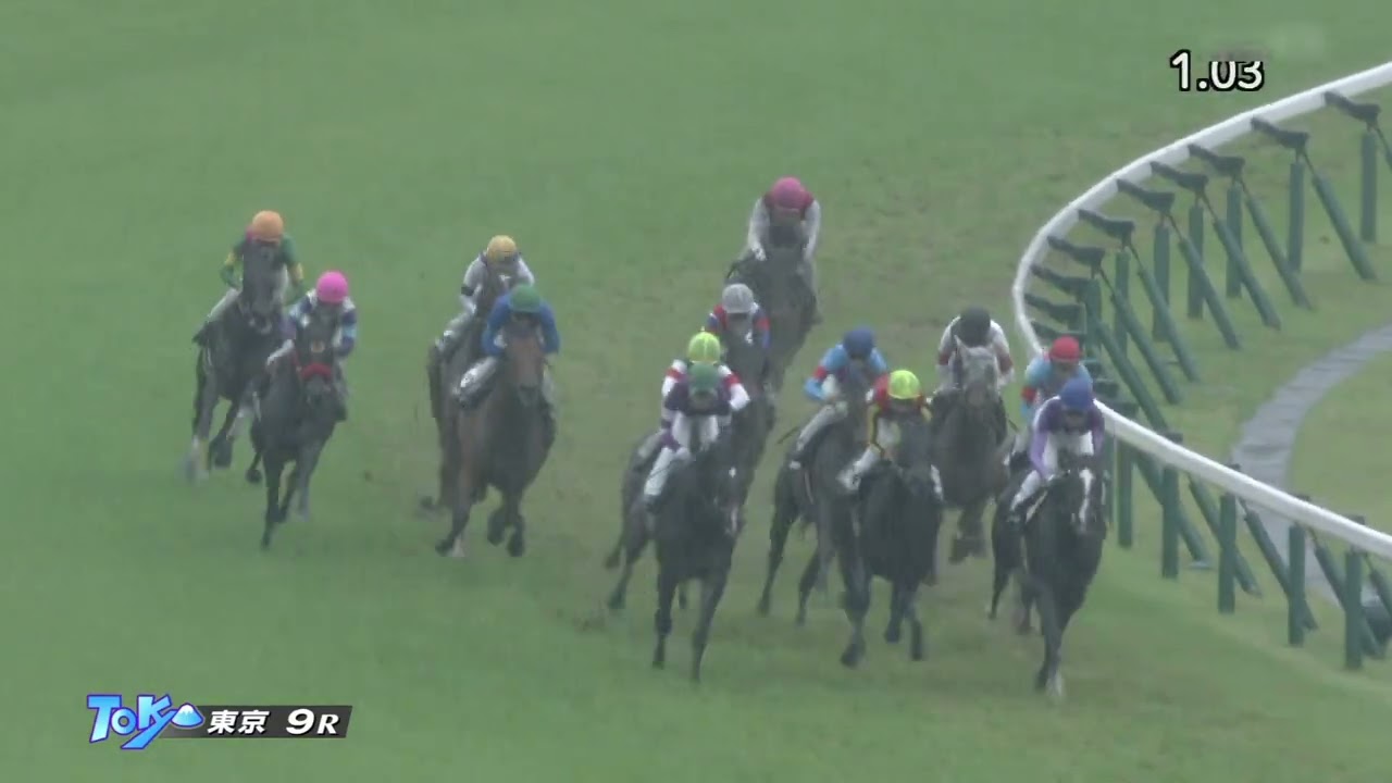 2023 05 07 東京9R 湘南ステークス カワキタレブリー(松山弘平)