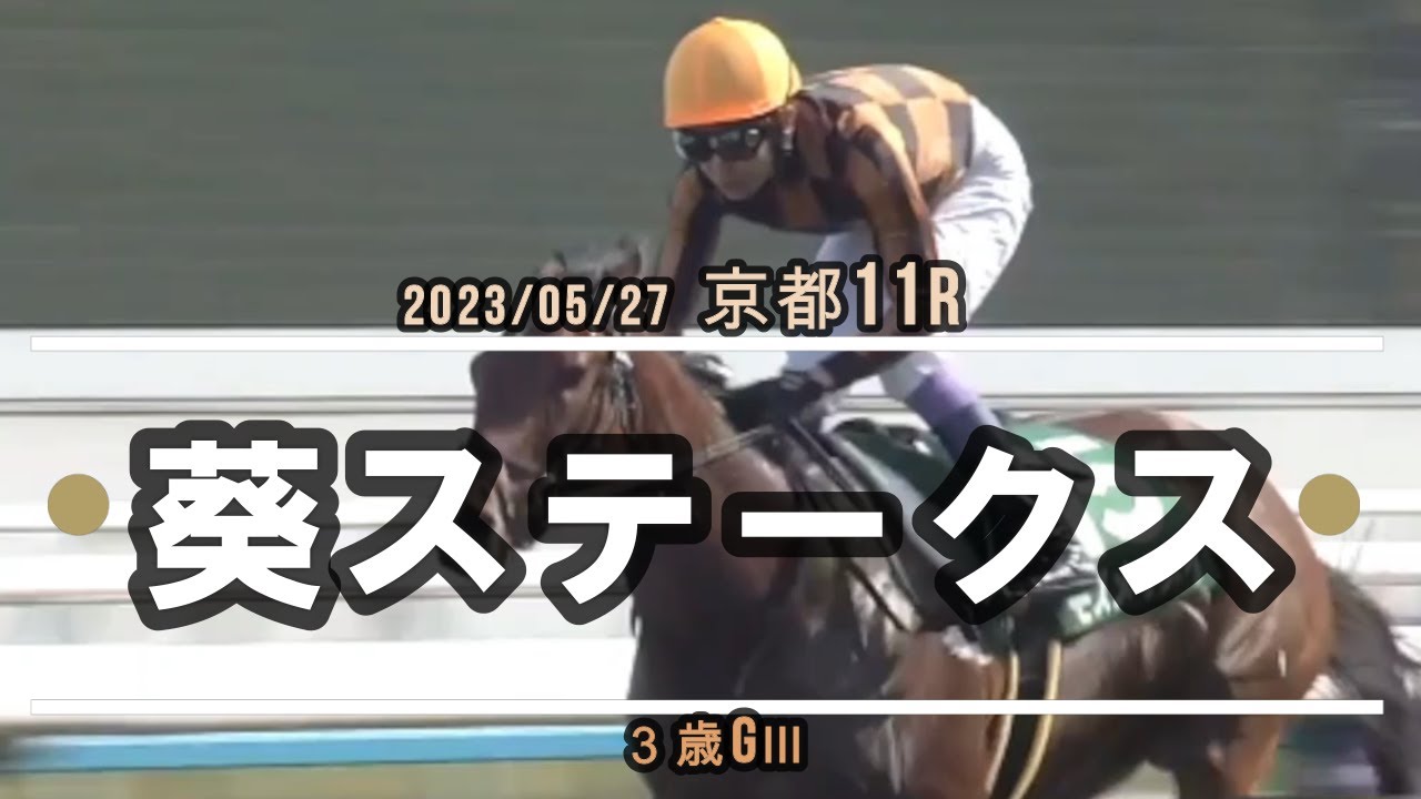 2023/05/27【パドック返し馬つき】京都11R　葵ステークス　GⅢ　☆モズメイメイ　リアルインパクト　　＃レースは13分ころから