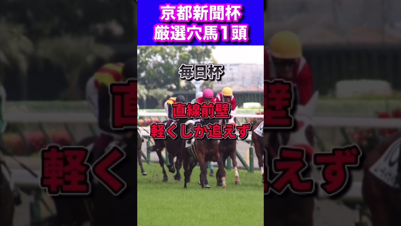 【京都新聞杯2023厳選穴馬1頭】