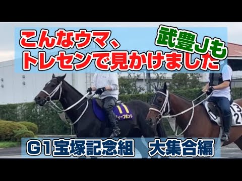 【宝塚記念組と武豊Ｊも】こんなウマ、栗東トレセンで見かけました《東スポ競馬》